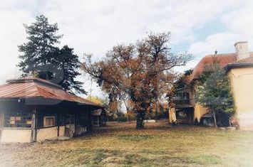 Casă - 12 camere de vanzare PAULIS - Arad anunturi imobiliare Arad