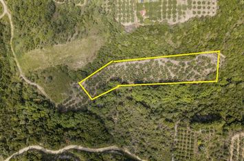Teren 3375 mp, 150 m de mare, Loutra Eleftheron anunturi imobiliare Grecia