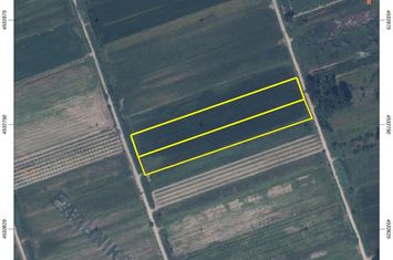 Teren agricol 10.497 mp în Chrysochori, Nestos anunturi imobiliare Grecia