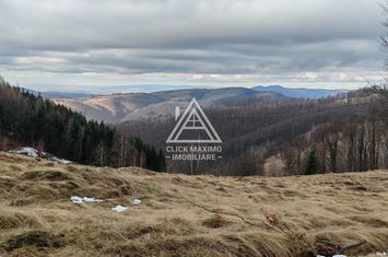 4.4 Hectare în Zona Turistică Montană – Bulz, Bihor anunturi imobiliare Bihor