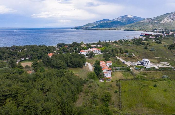 Teren 3.228,87 mp în Skala Prinos (Dasaki) anunturi imobiliare Grecia