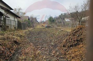 DE VANZARE TEREN INTRAVILAN CISNADIOARA Str. SIBIULUI DJ 106D anunturi imobiliare Sibiu