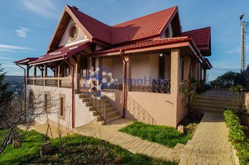 Villa Zona Bucium-Plopii Fara Sot ( pretabila si comercial) POTENTIAL RIDICAT anunturi imobiliare Iasi