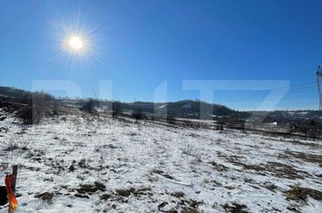 Teren de vanzare RADASENI - Suceava anunturi imobiliare Suceava
