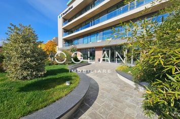 Birou de inchiriat SIBIU - Sibiu anunturi imobiliare Sibiu
