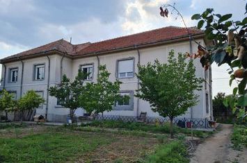 Vilă - 12 camere de vanzare BRESTEI - Dolj anunturi imobiliare Dolj