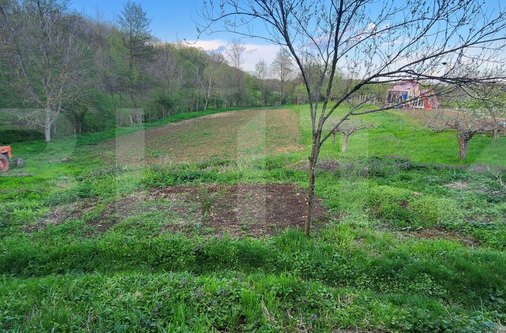 Teren de vanzare NISIPOASA - Prahova anunturi imobiliare Prahova