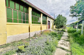 Casă - 5 camere de vanzare BECICHERECU MIC - Timis anunturi imobiliare Timis