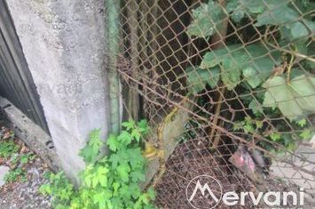 Teren Intravilan de vanzare BUSTENI - Prahova anunturi imobiliare Prahova