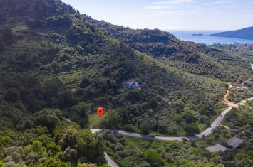 Teren construibil 4493.37 mp în Chrisi Ammoudia anunturi imobiliare Grecia