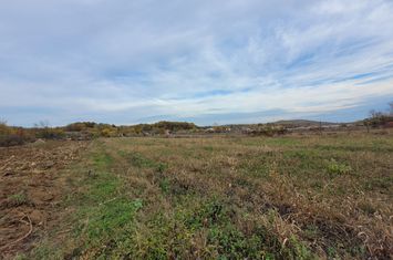 Teren de vanzare BALESTI - Gorj anunturi imobiliare Gorj