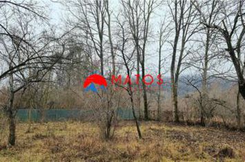 Casă - 3 camere de vanzare PROVITA DE JOS - Prahova anunturi imobiliare Prahova