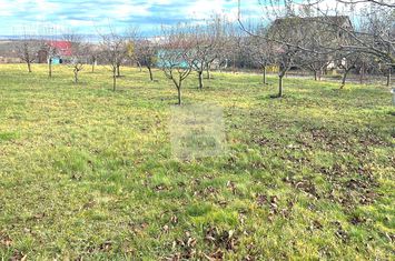 Teren Intravilan de vanzare DAIA - Sibiu anunturi imobiliare Sibiu