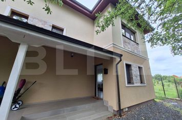 Vilă - 4 camere de vanzare SANANDREI - Timis anunturi imobiliare Timis