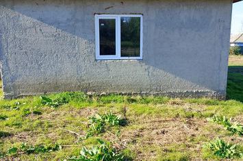 casa la rosu Pecineaga anunturi imobiliare Constanta