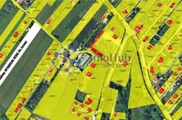 Teren BREAZU, 5000 MP, 50€ MP anunturi imobiliare Iasi