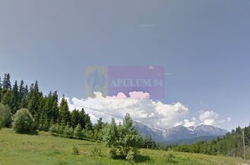 Teren de vanzare la Azuga la Partia Cazacu anunturi imobiliare Prahova