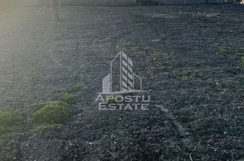 Casa veche cu teren de 1284 mp in Recas anunturi imobiliare Timis