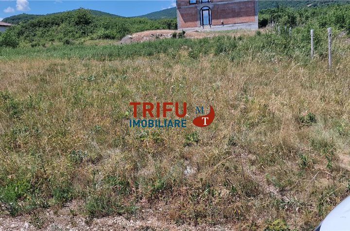 Teren Intravilan de vanzare CETATE - Alba anunturi imobiliare Alba