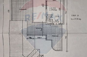 Casă cu 6 camere | Strada Colonistilor, Arad | teren 1440 mp anunturi imobiliare Arad