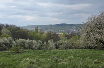 Teren cu vedere panoramica de vânzare în Chinteni anunturi imobiliare Cluj