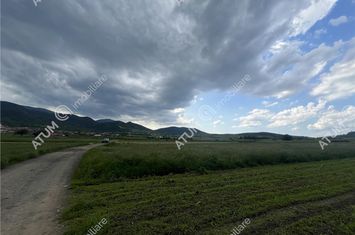 Teren Intravilan de vanzare BOITA - Sibiu anunturi imobiliare Sibiu