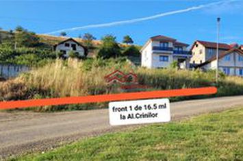 Teren Intravilan de vanzare SURA MARE - Sibiu anunturi imobiliare Sibiu