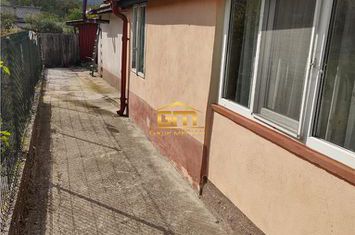 Vilă - 9 camere de vanzare GOLESTI - Valcea anunturi imobiliare Valcea