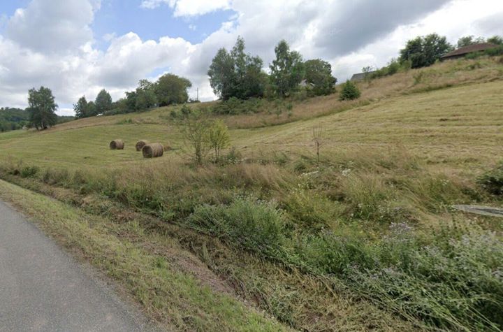 Teren intravilan Rosia, 12 000 mp, cu proiect aprobat. Comision 0. anunturi imobiliare Bihor