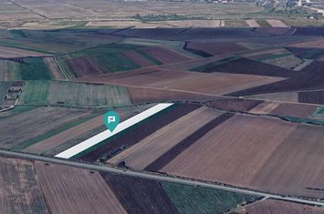 Teren intravilan la stradă principală Remetea Mare anunturi imobiliare Timis