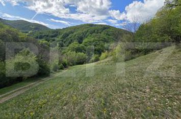 Teren de vanzare ALBA IULIA - Alba anunturi imobiliare Alba