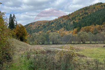 Teren pentru casa de vacanta județul Harghita anunturi imobiliare Harghita