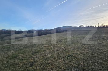 Teren de vanzare ABRUD - Alba anunturi imobiliare Alba
