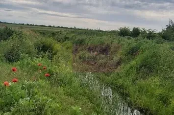 Teren Corbeanca- Drumul Garii Odai. anunturi imobiliare Bucuresti