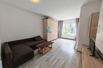 Garsonieră de inchiriat AVANTGARDEN - Brasov anunturi imobiliare Brasov