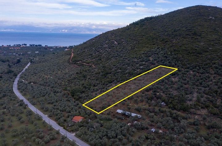 Teren construibil 5.365 mp cu vedere, Rachoni anunturi imobiliare Grecia