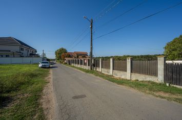 Teren de vanzare BRANESTI - Bucuresti anunturi imobiliare Bucuresti