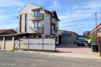 Pantelimon - Selgros, Hala 446 mp, Anexa 131 mp, Vila P+2, Lot 1054 mp anunturi imobiliare Bucuresti