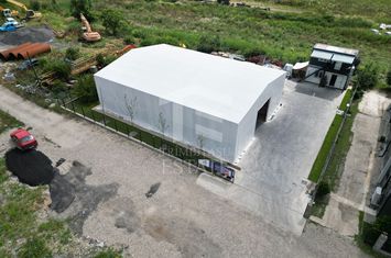 Cort Industrial 300 mp Teren 900 mp Birouri anunturi imobiliare Bucuresti