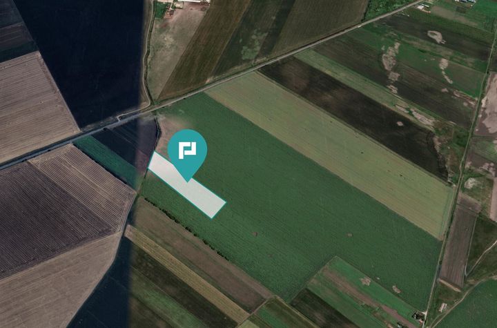 Teren extravilan de 22500 mp în Variașul Mare anunturi imobiliare Arad