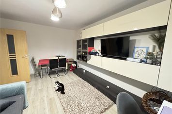 Apartament 2 camere de vanzare PODU ROS - Iasi anunturi imobiliare Iasi