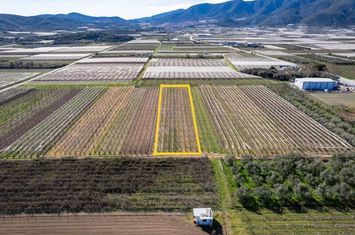 Teren agricol 2.235 mp în Elaiochori anunturi imobiliare Grecia