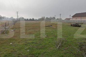 Teren de vanzare VINTU DE JOS - Alba anunturi imobiliare Alba