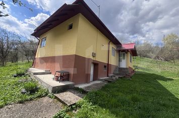 Casă - 4 camere de vanzare FIENI - Dambovita anunturi imobiliare Dambovita