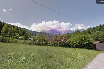 Teren de vanzare la Azuga la Partia Cazacu anunturi imobiliare Prahova