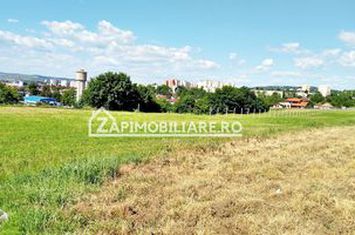 Teren Extravilan de vanzare BUDIULUI - Mures anunturi imobiliare Mures