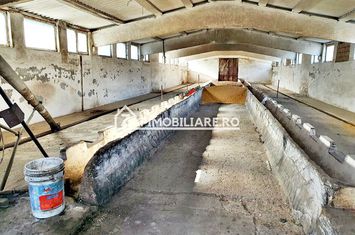 Hale cu suprafete utile de 832 mp si 578 mp. birouri 187 mp anunturi imobiliare Mures