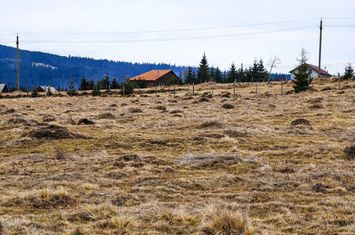 TEREN CU VEDERE LA LAC, 5959 MP Statiunea Turistica Montana BELIS-CLUJ anunturi imobiliare Cluj