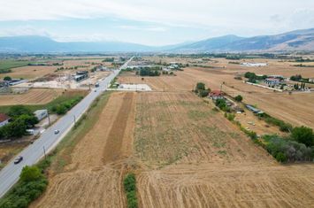 Teren 20.000 mp în Xiropotamos, lângă nod rutier anunturi imobiliare Grecia