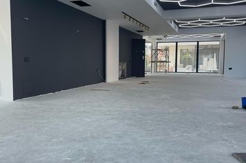 Pipera, Iancu Nicolae, vanzare/inchiriere spatiu comercial, 140 mp totali, imobil din 2022, anunturi imobiliare Bucuresti